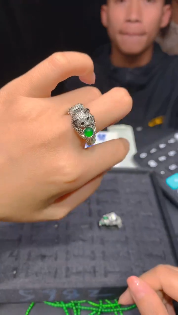 【闪购商品】定制翡翠未镶嵌254多样性发货（发其一）