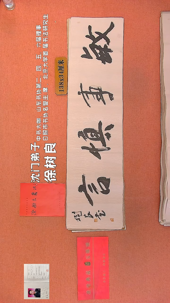 【闪购商品】书法132     徐树良书法作品