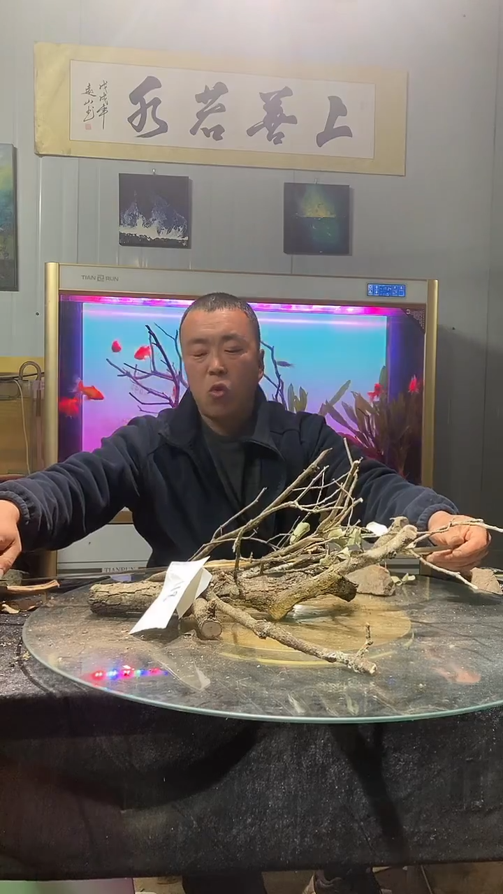 直播间黄栎木1组118号