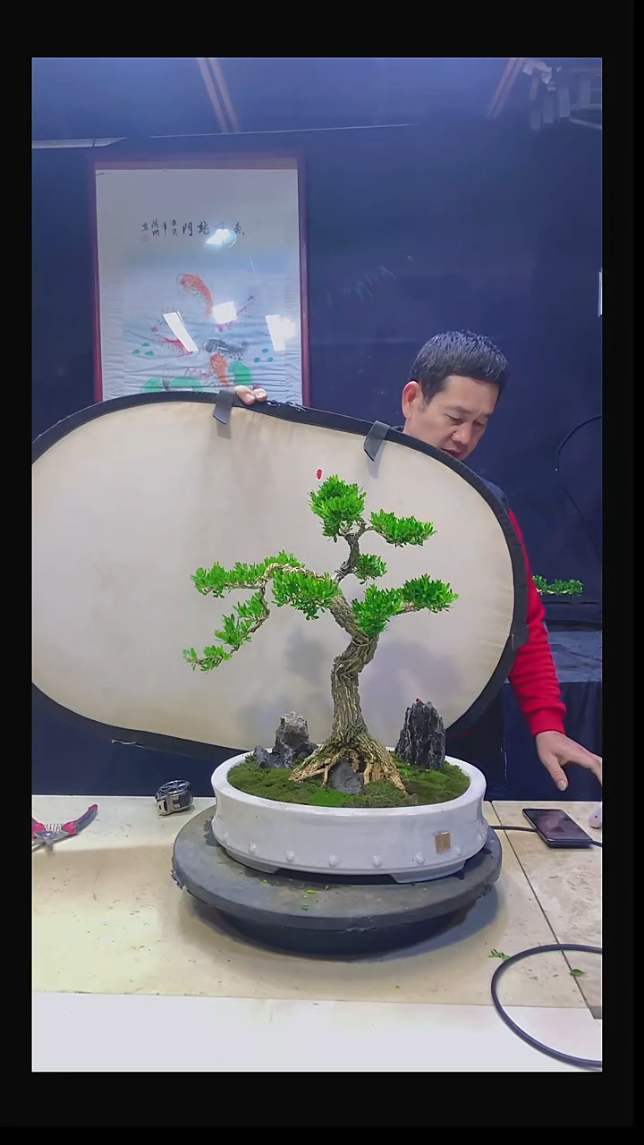 无花朵3****强11111111111111111