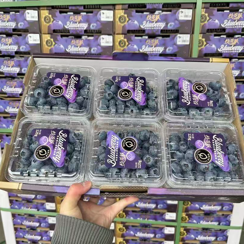 枝花妖花香蓝莓18+当季限定 大果 新鲜现摘 礼盒装