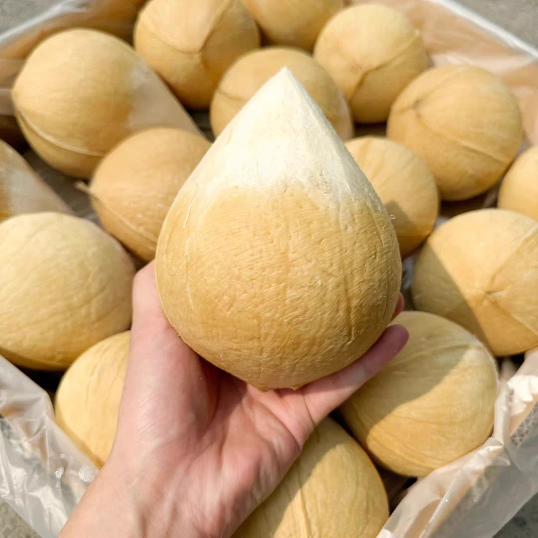 【顺丰次日达】泰国椰皇 4个装