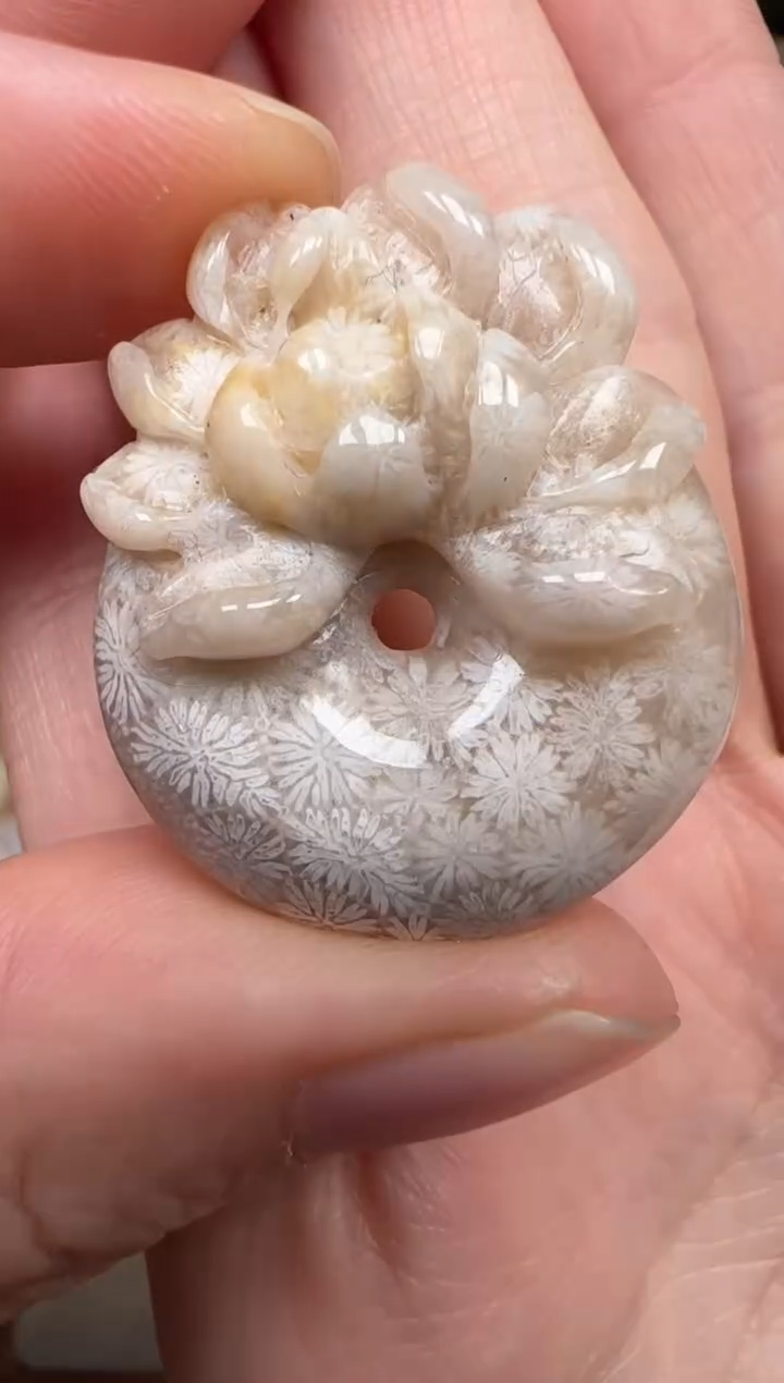 硅化珊瑚（珊瑚玉）未镶嵌颈饰848