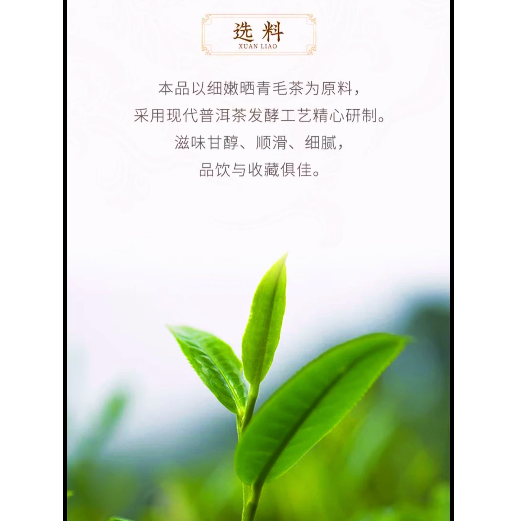 2003年308紫DY 7572 普洱熟茶（包装有破损 介意别拍）