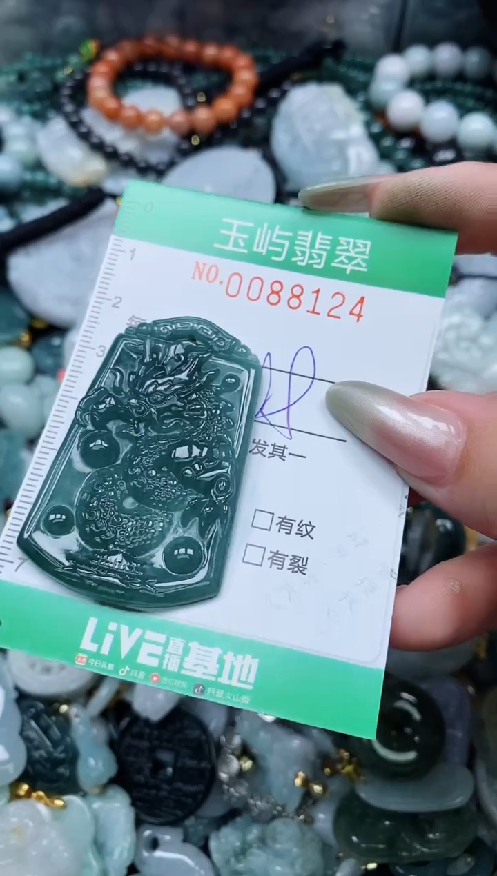 【闪购商品】翡翠颈饰未镶嵌闪购0088124