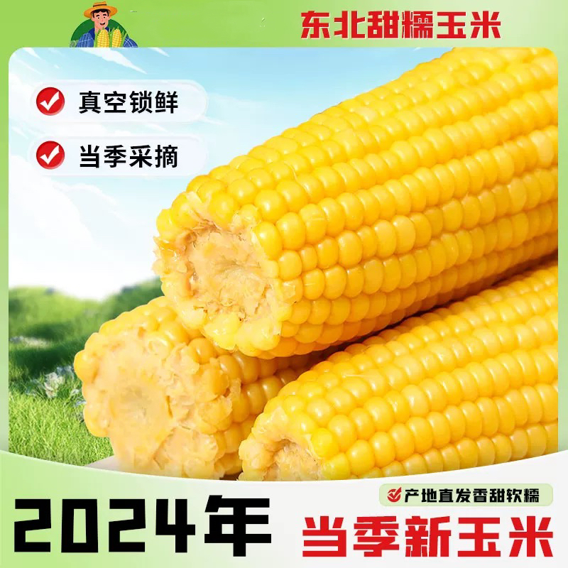 【开年福利】精选东北黄金糯新玉米单根280以上试吃两棒整箱7斤左右