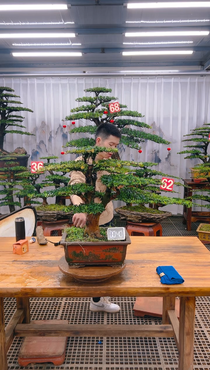 【闪购商品】紫砂精品盆景直播间一物一拍