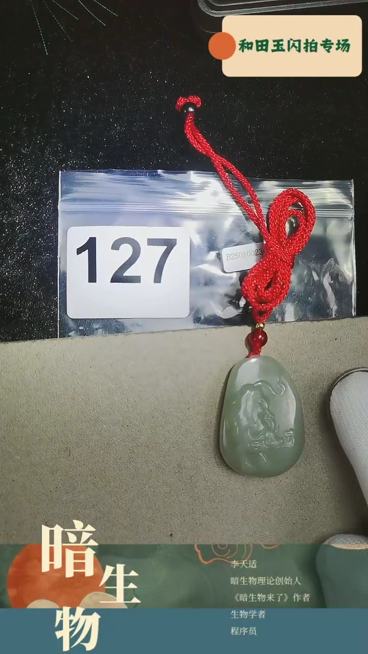 【闪购商品】和田玉吊坠(赠链)未镶嵌127