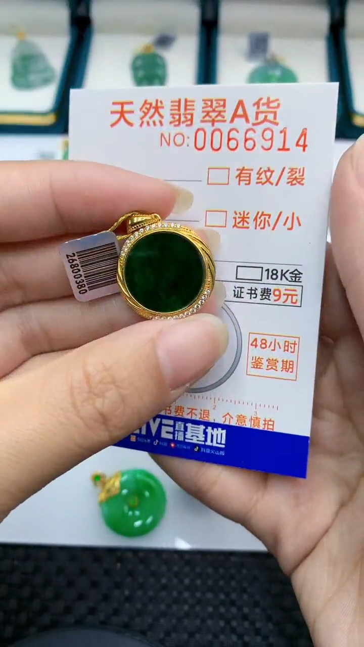 【闪购商品】翡翠颈饰银S925镶嵌            8