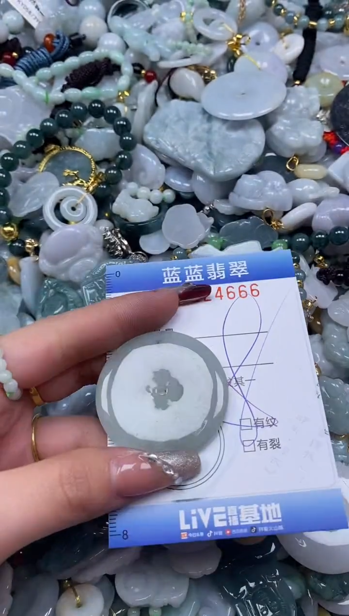 【闪购商品】翡翠颈饰未镶嵌闪购0124666