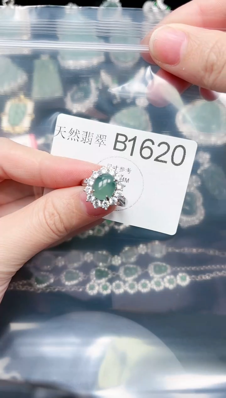 【闪购商品】翡翠颈饰未镶嵌赠皮绳1620