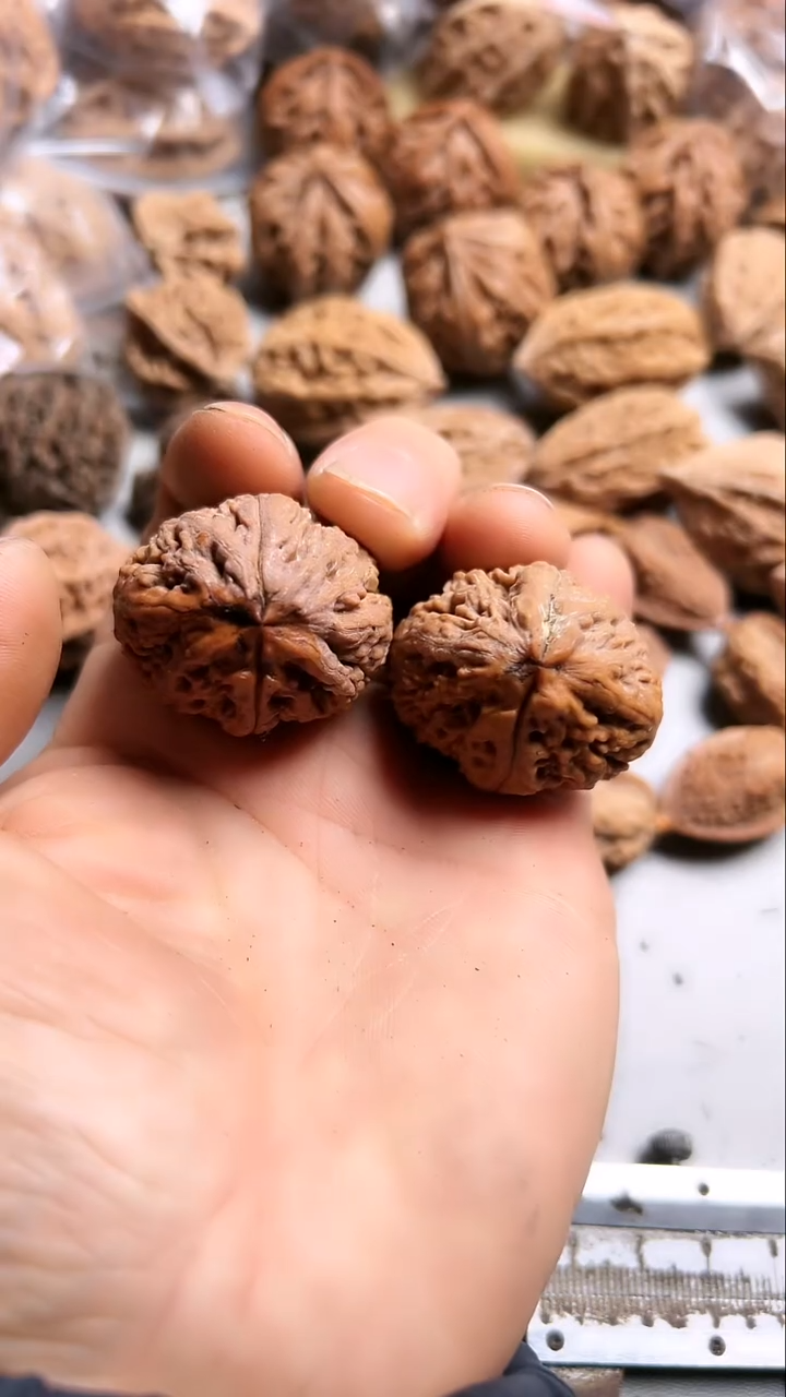 核桃东北野生大秋子5