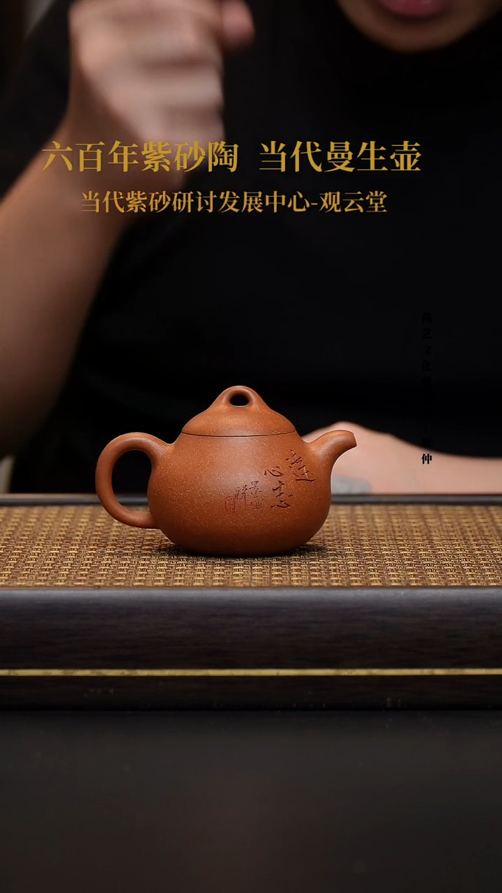 茶壶紫砂宜兴紫砂壶盈珠