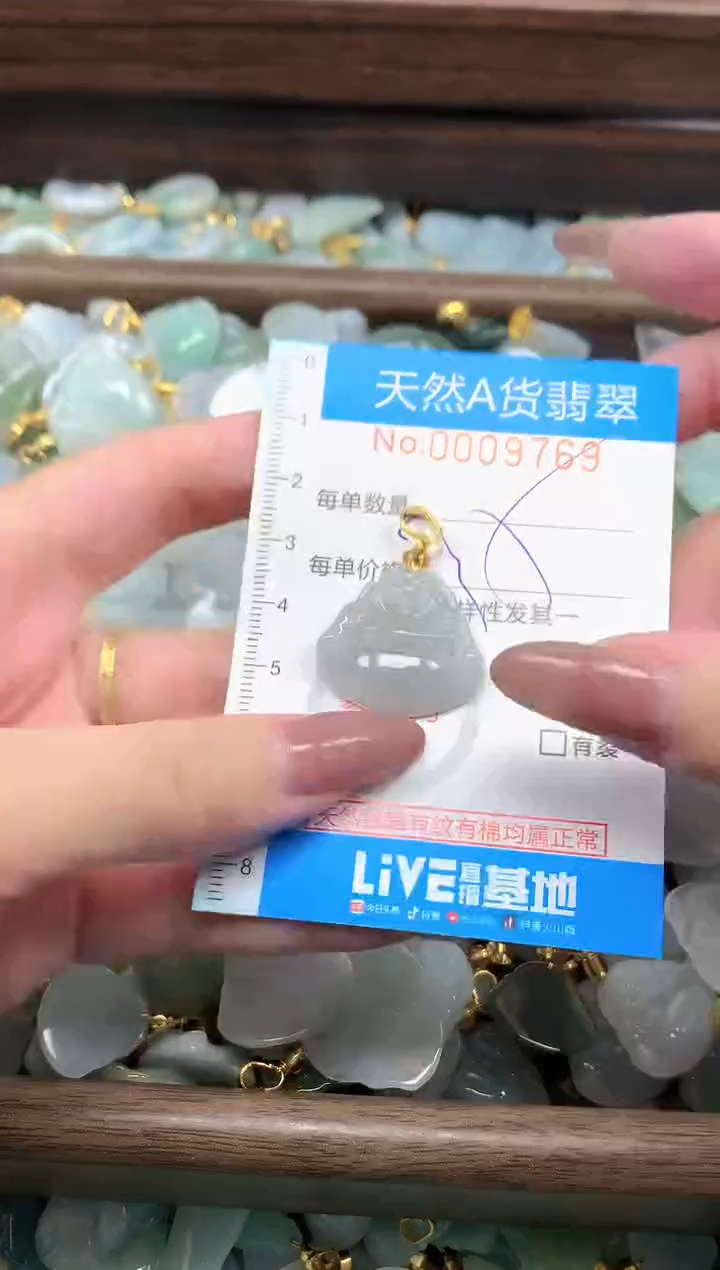 颈饰未镶嵌翡翠净货挂件-9769