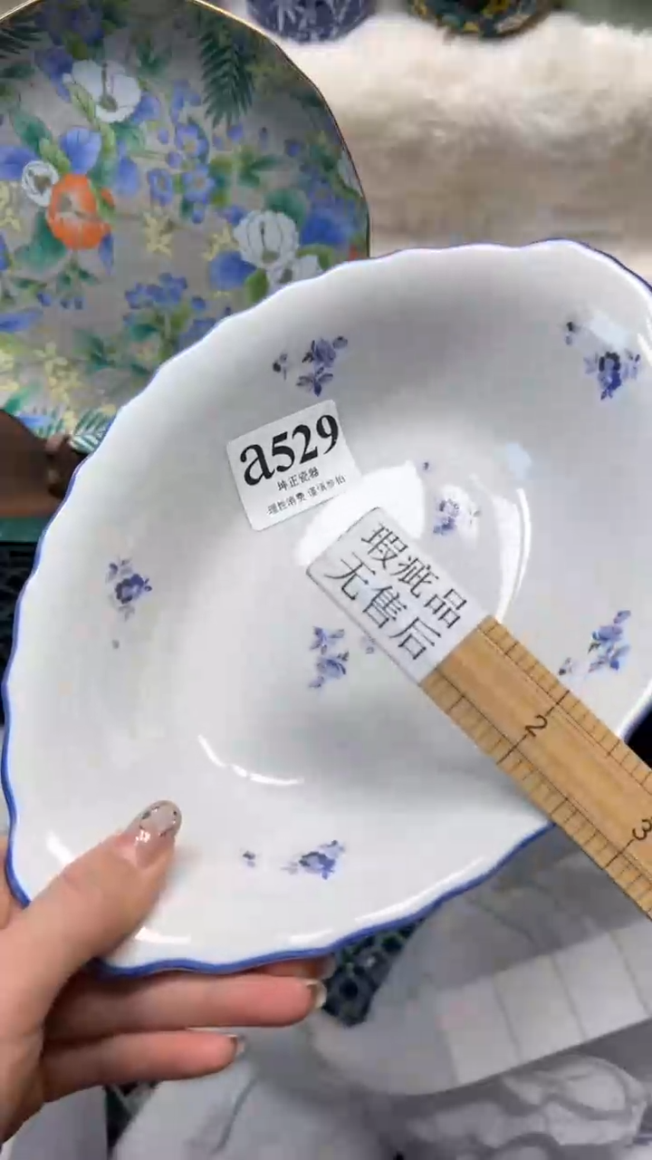 【闪购商品】瓷片          a529