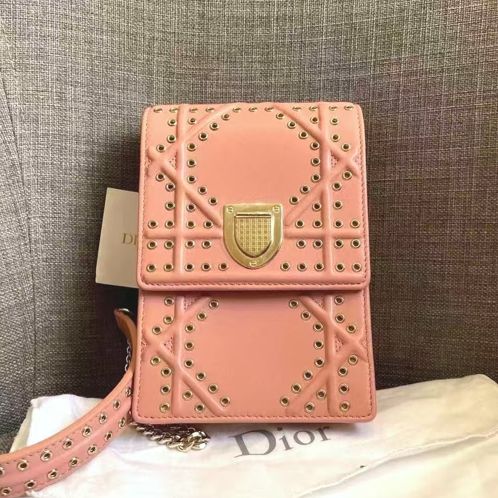 95新 DIOR/迪奥 胖虎佳佳/箱包/两用包/31B2506250080