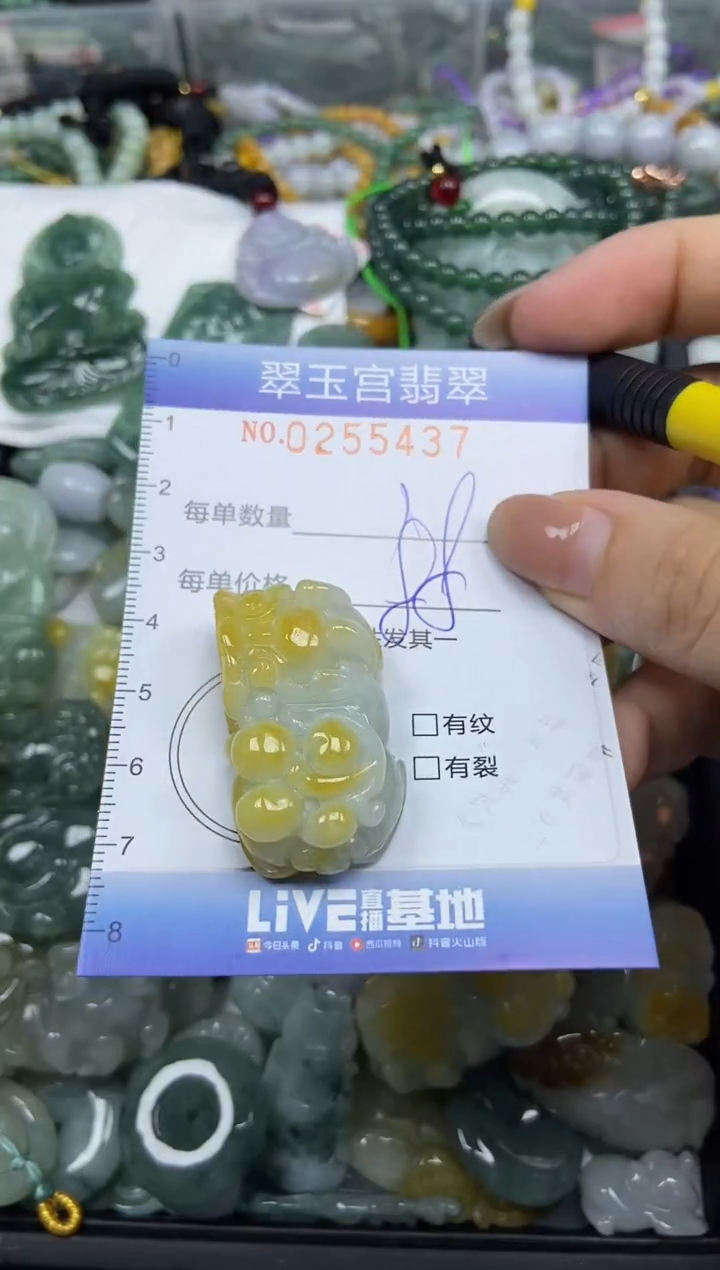 颈饰未镶嵌翡翠闪购C0255437