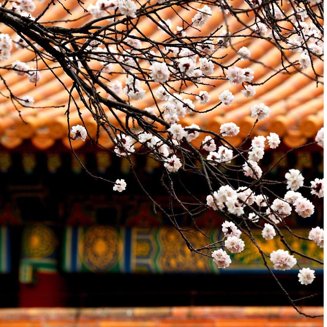 晓东美术馆精选作品-------勿拍