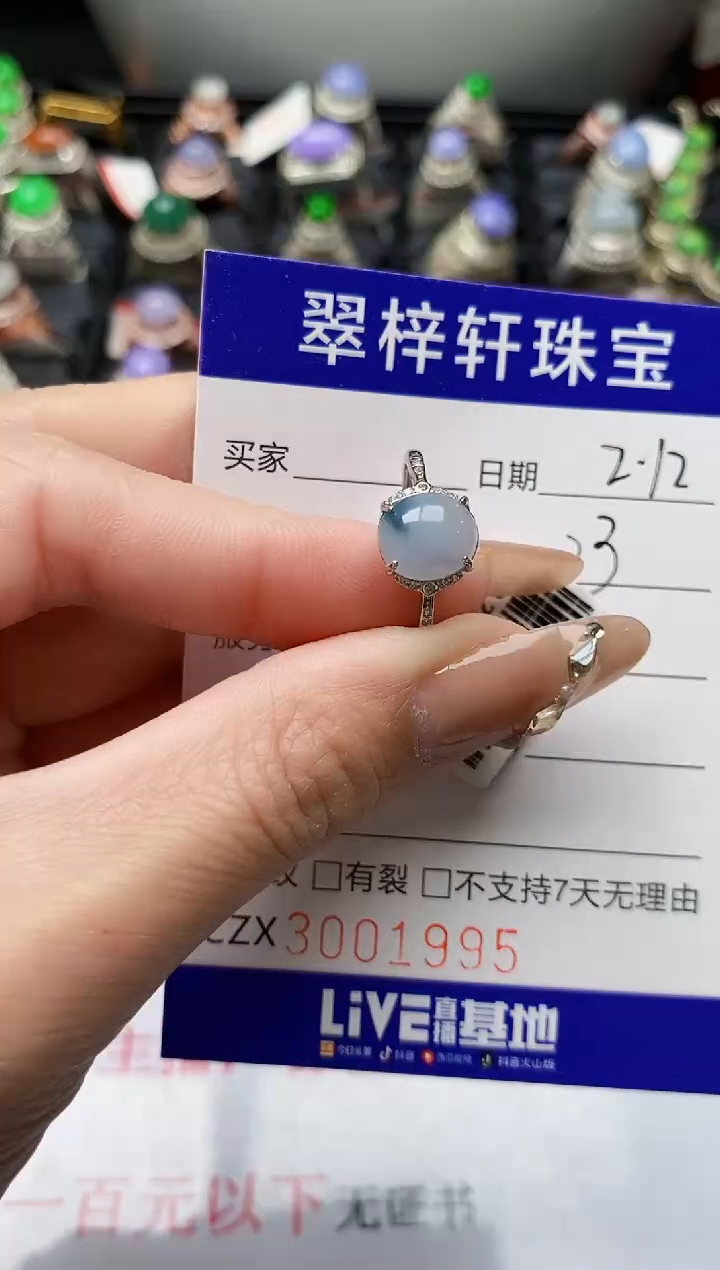 【闪购商品】翡翠戒指银S925镶嵌/1995