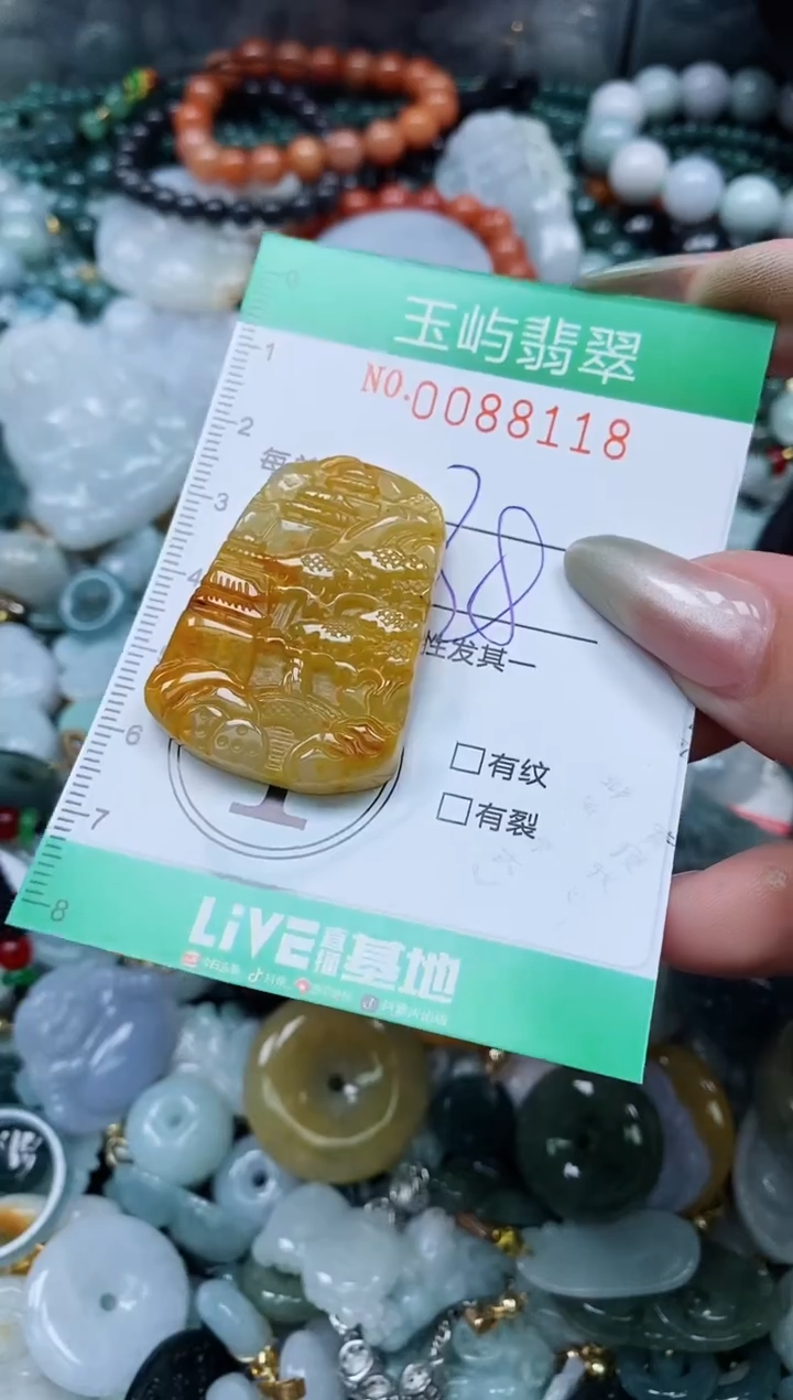 【闪购商品】翡翠颈饰未镶嵌闪购0088118