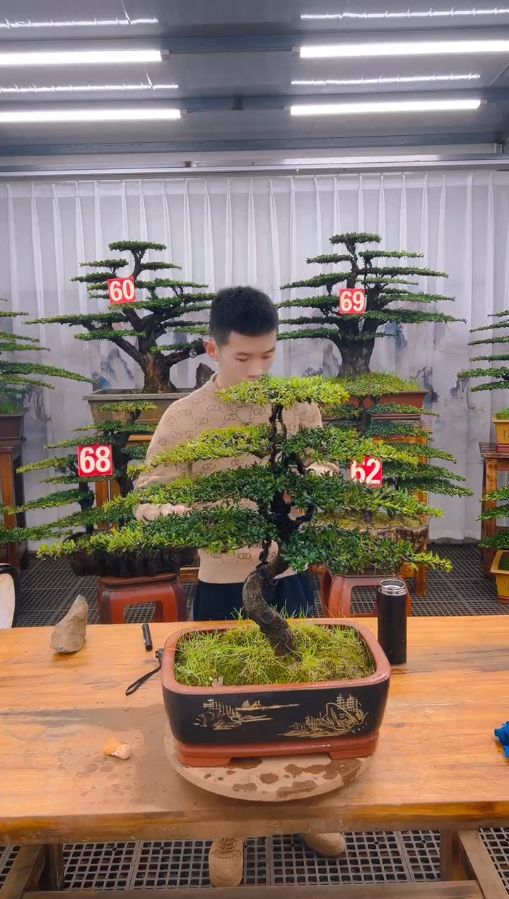 【闪购商品】紫砂精品盆景直播间一物一拍