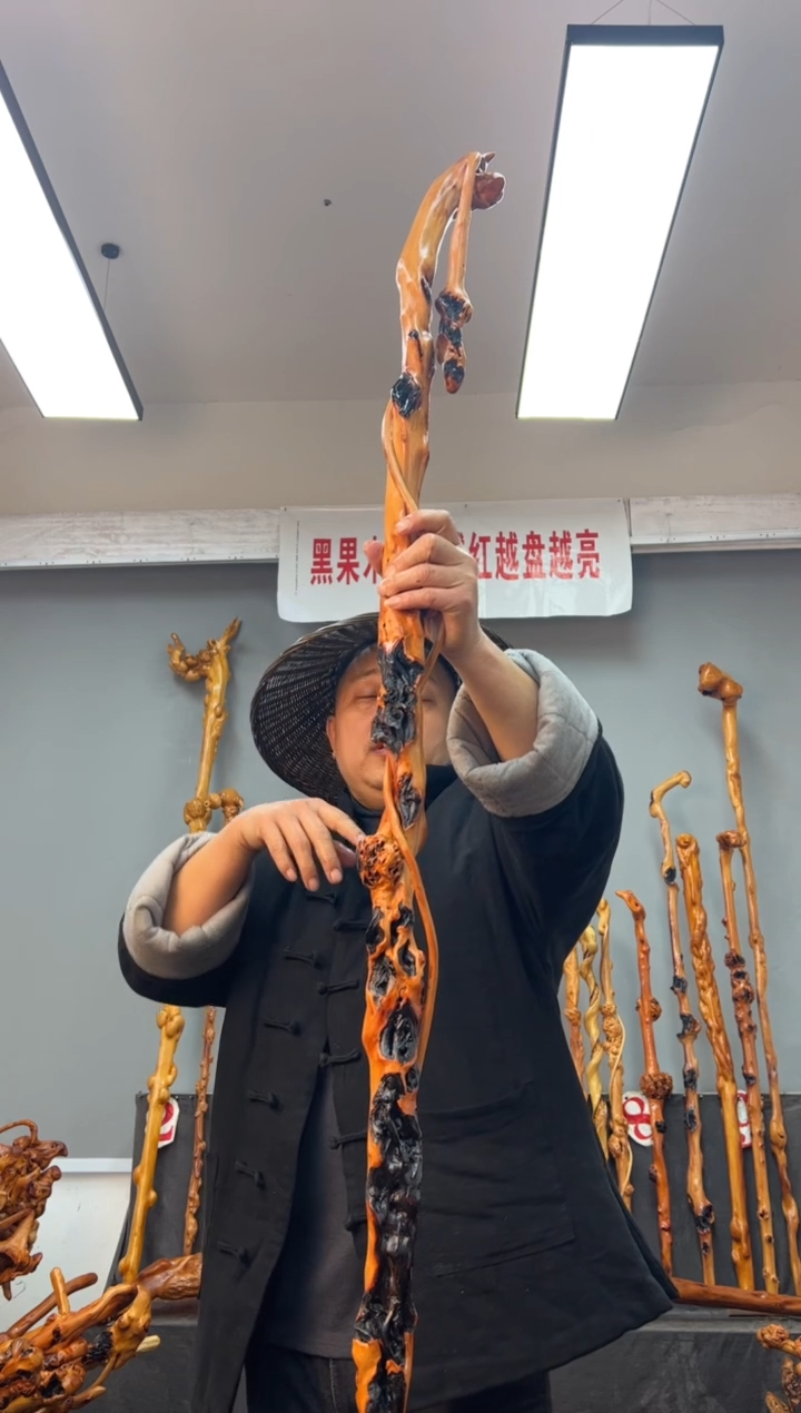 【闪购商品】黑果木其他黑果木186