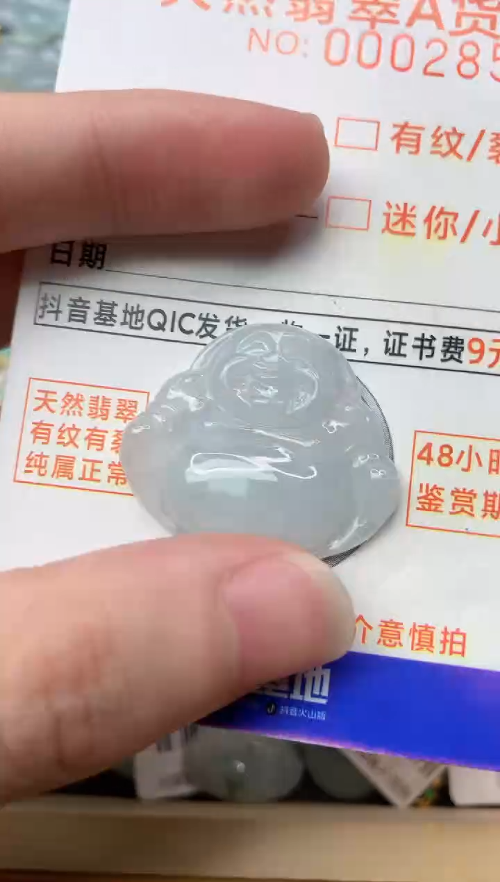 【闪购商品】翡翠颈饰未镶嵌1.............