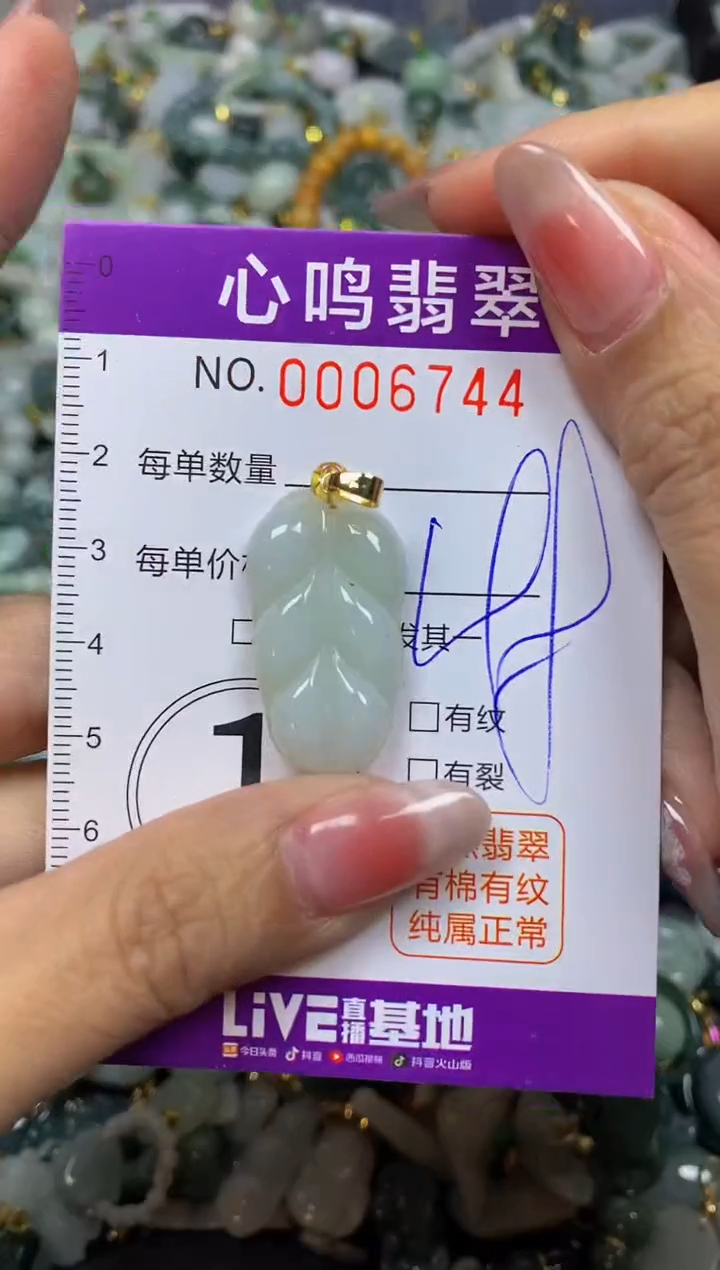 【闪购商品】翡翠颈饰未镶嵌闪购006744