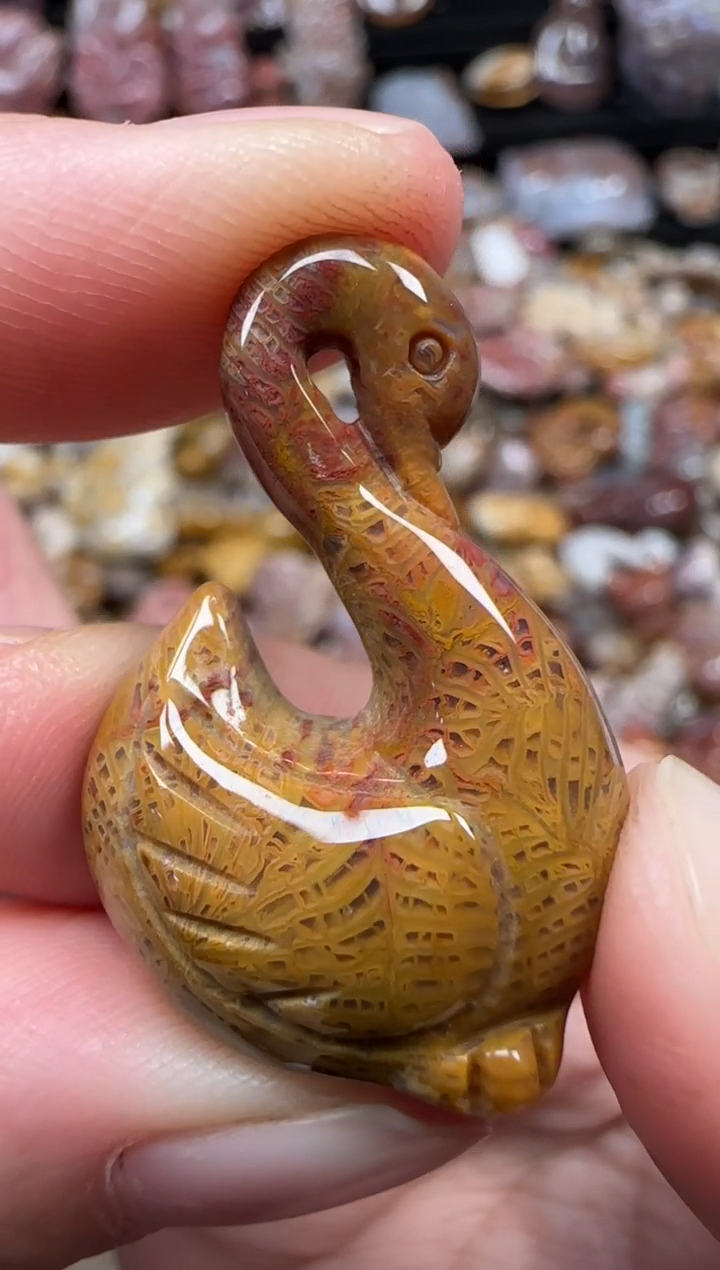 颈饰未镶嵌硅化珊瑚（珊瑚玉）947