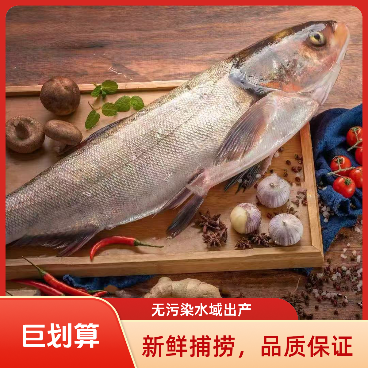 密云水库野生白鲢鱼