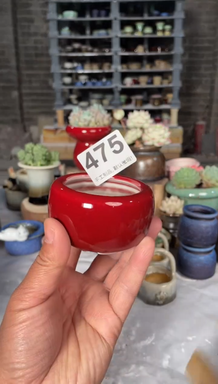 瓷片475小芳直播编号