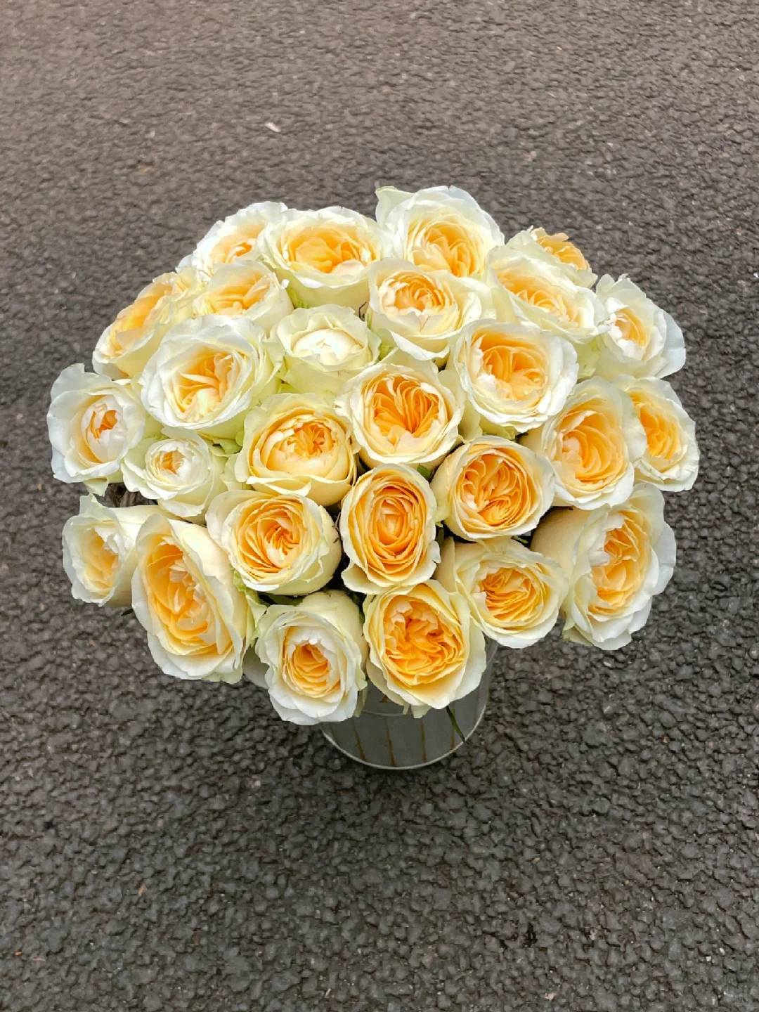 【奶油杯玫瑰】  收到鲜花第一时间醒花 云南爆品鲜花