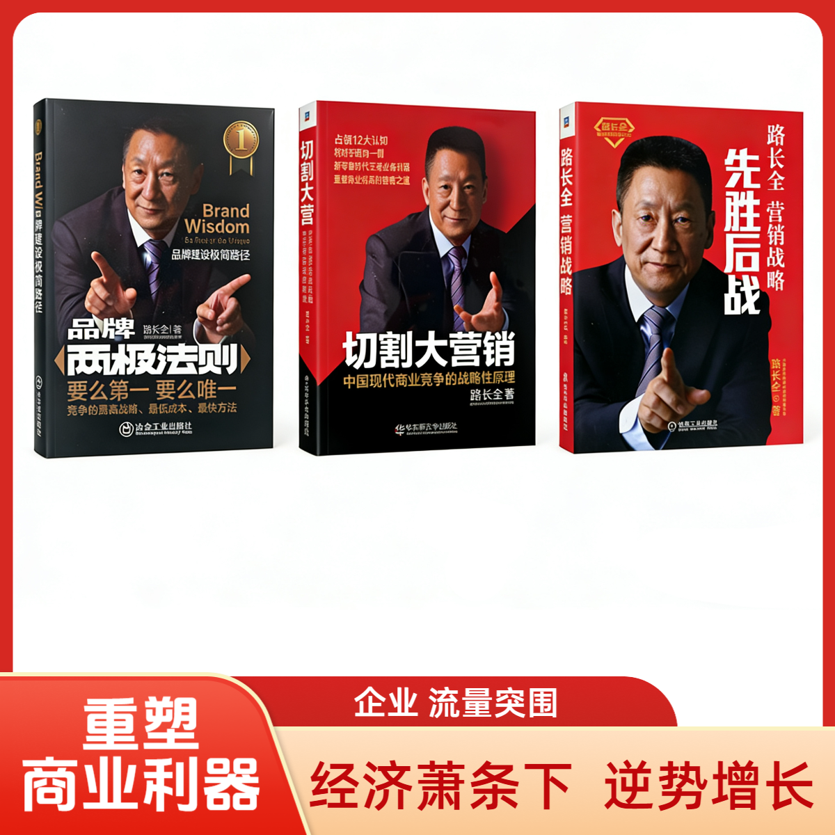 路长全中国名人家企业教父品牌两极法则经典著名书籍