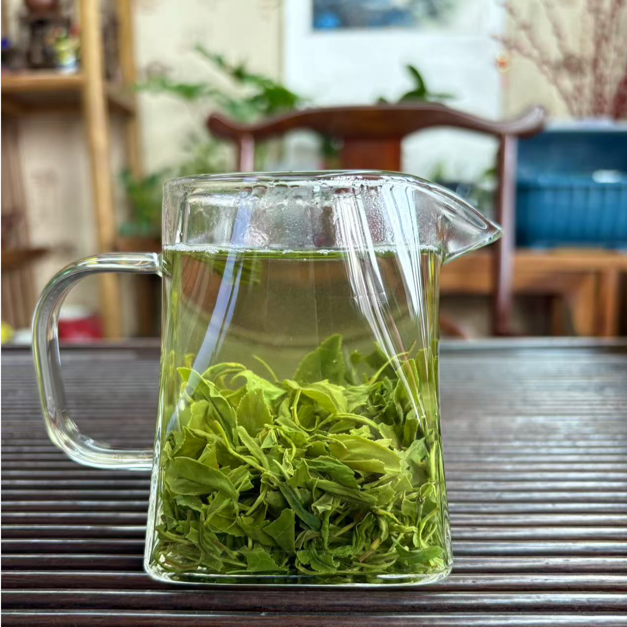 日照绿茶新茶24年10月鲜香型豆香晚秋茶500克精选耐泡无公害茶叶