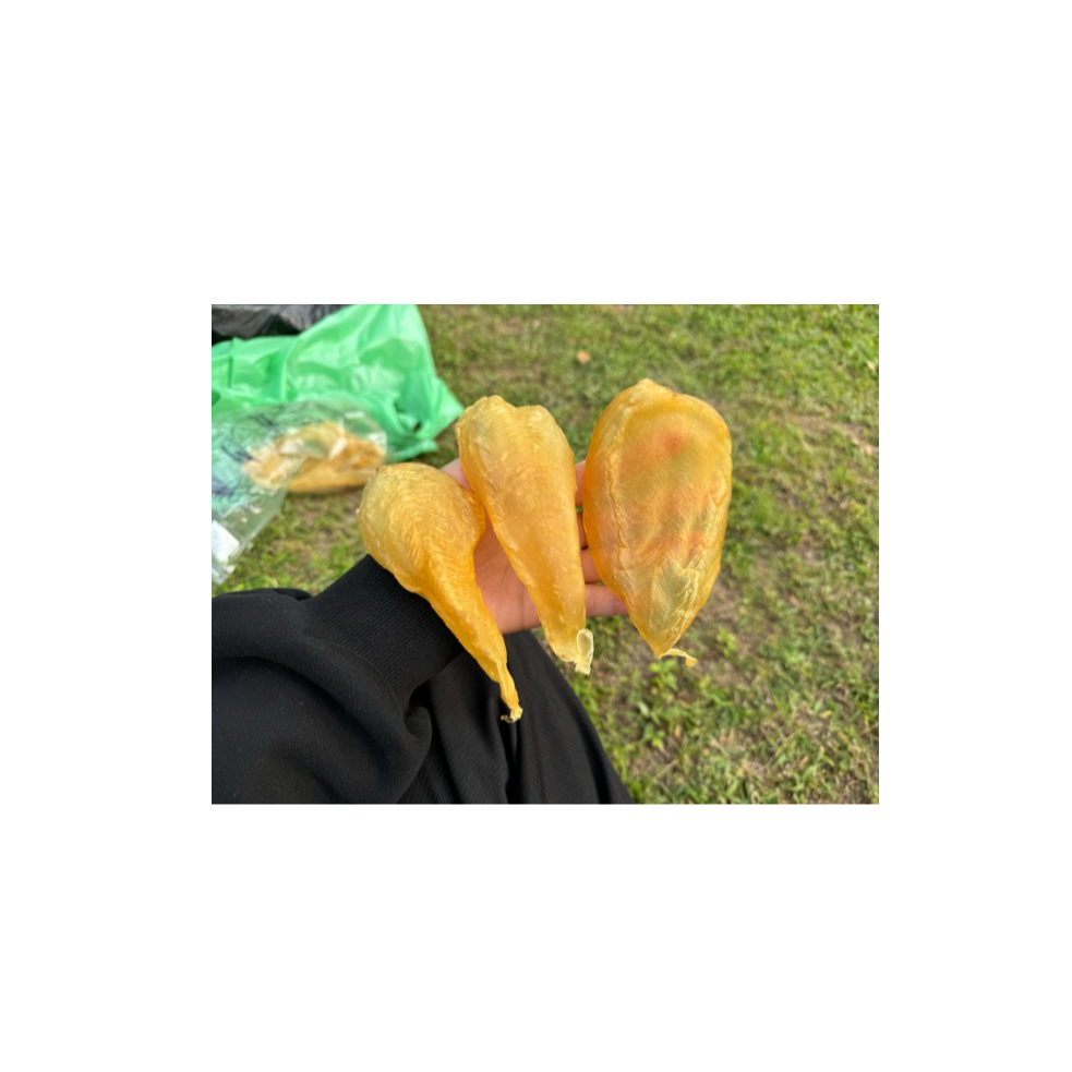【海盛行鱼胶】补差价链接