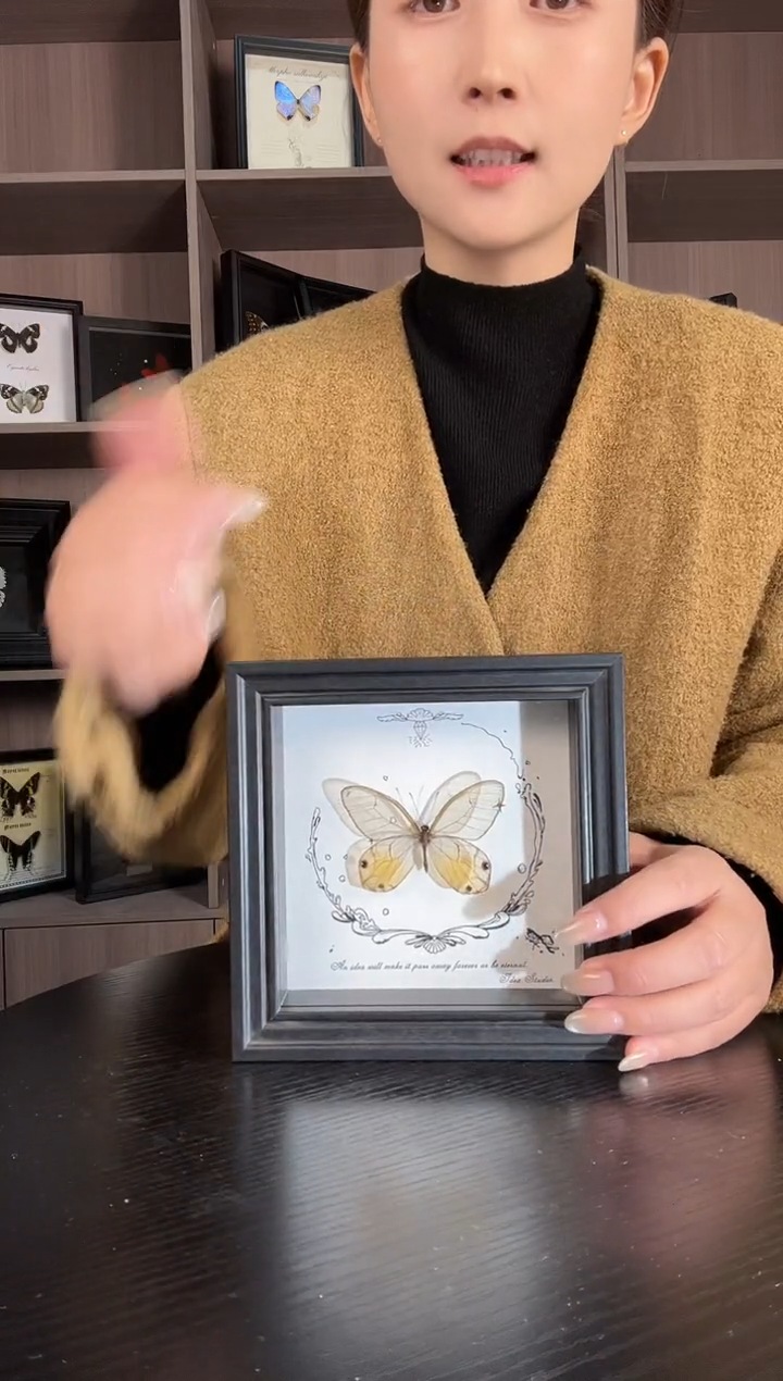 实木竖款黄金绡眼蝶（蝴蝶装饰画5寸框）