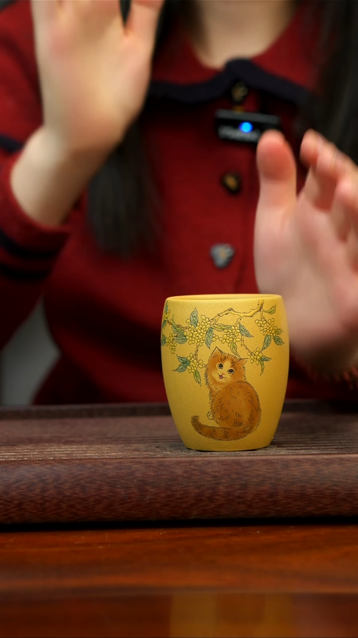 茶壶紫砂宜兴紫砂