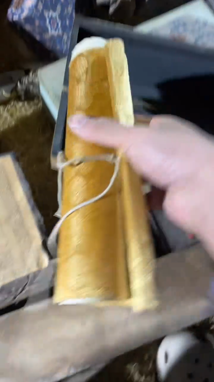 香榧木（1个小卷卷）