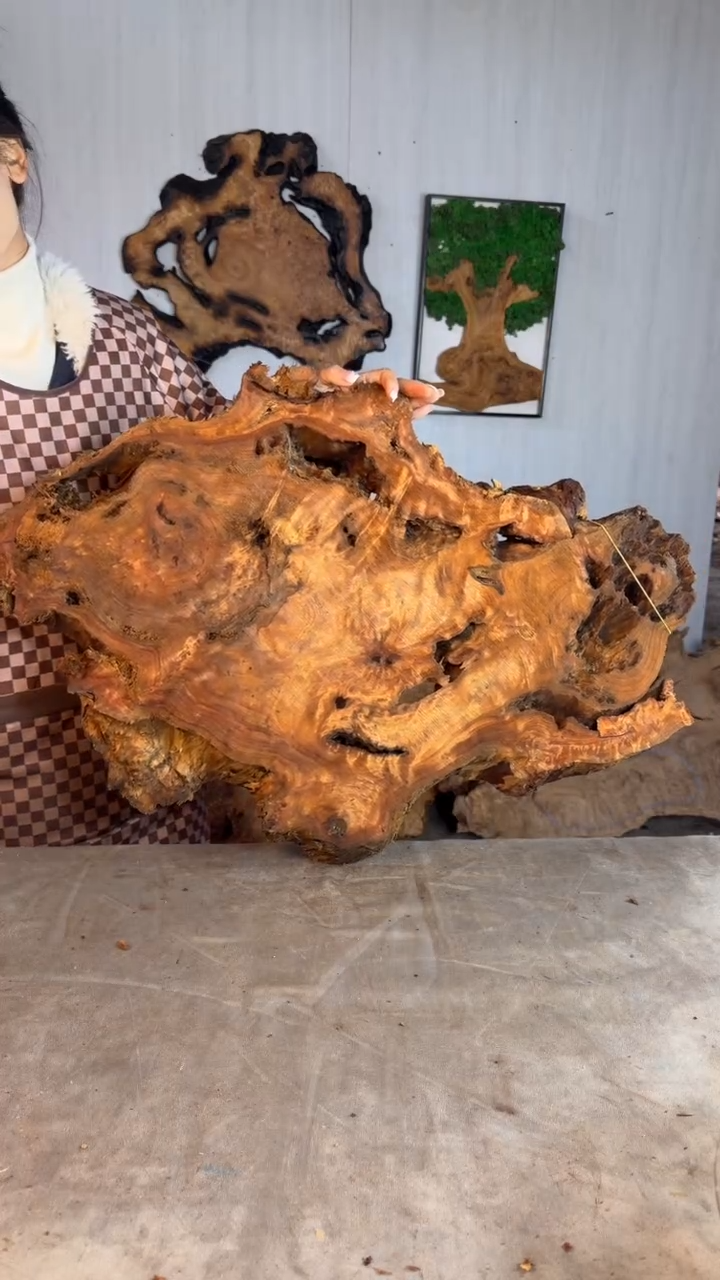 香杉木木头款杉木瘤挂件【原料】038