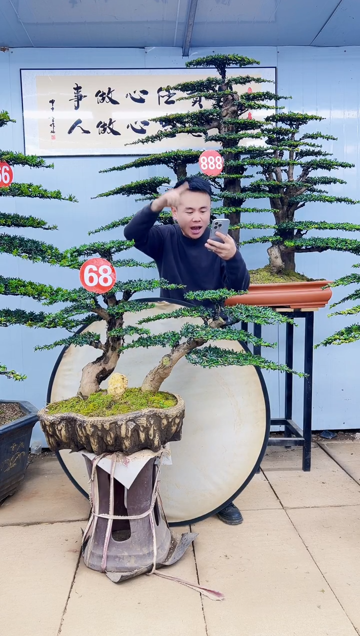 无花朵000000000000000000000000000