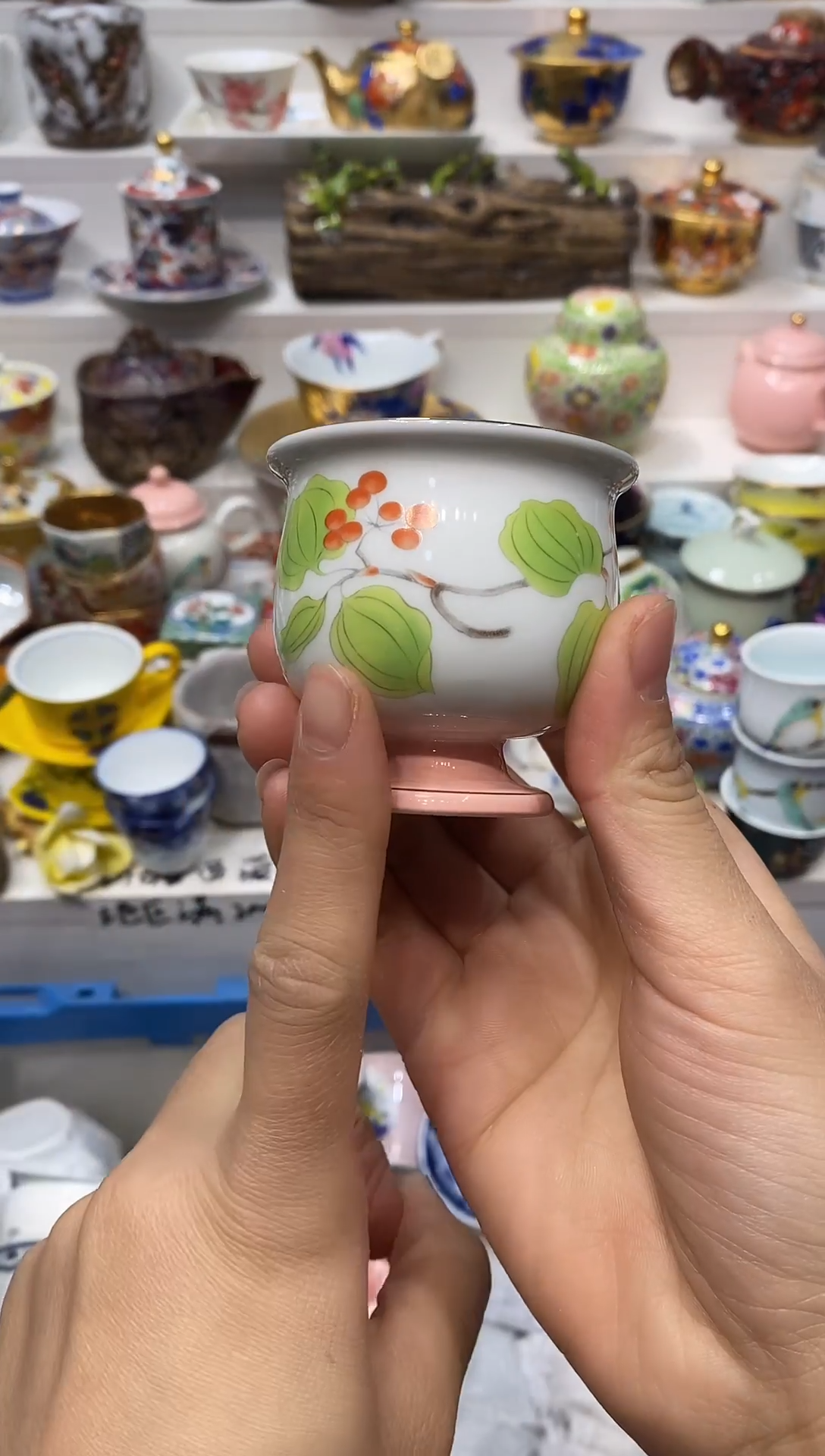瓷片芥****果20包邮 新疆西藏200包邮