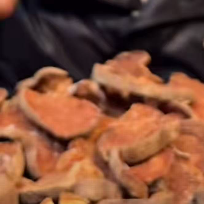 云南优选山货--紫衫唇干