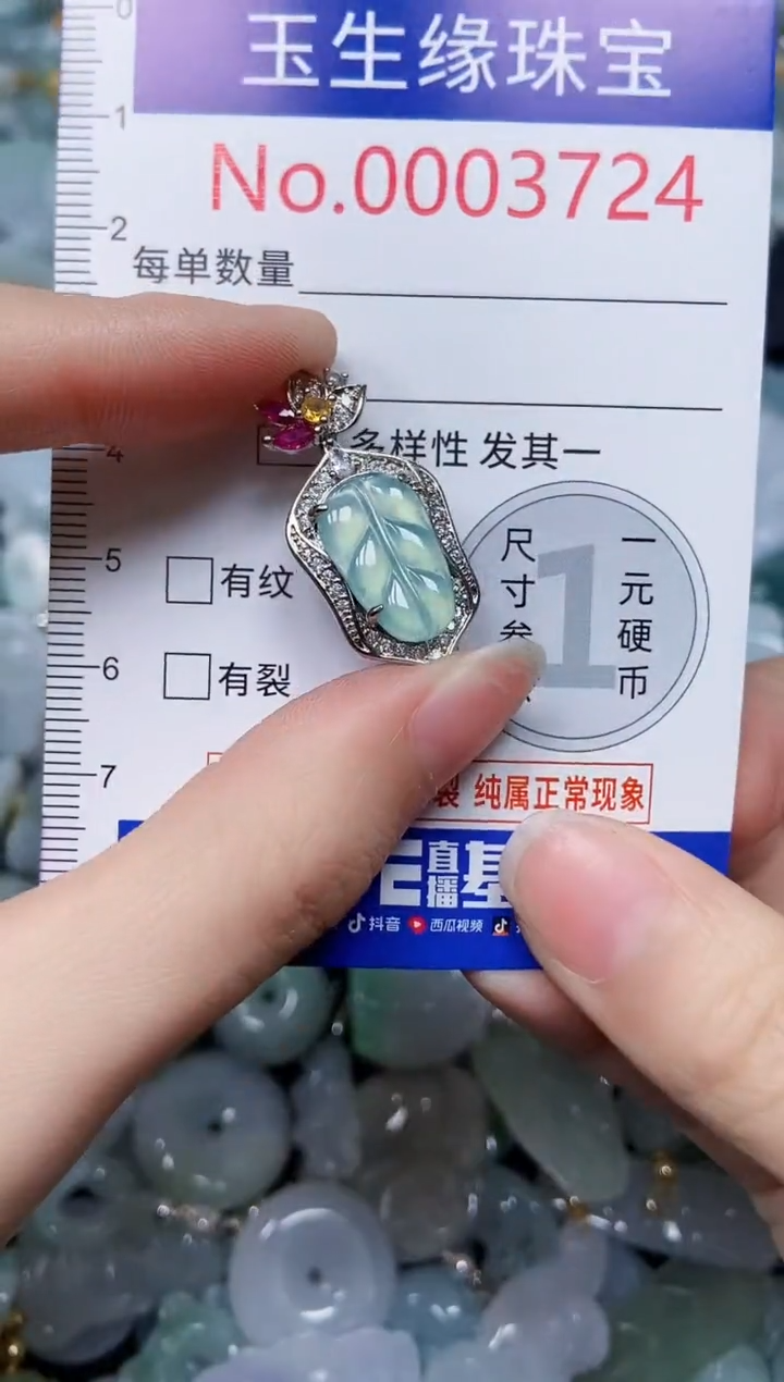 【闪购商品】翡翠颈饰未镶嵌闪购00003724