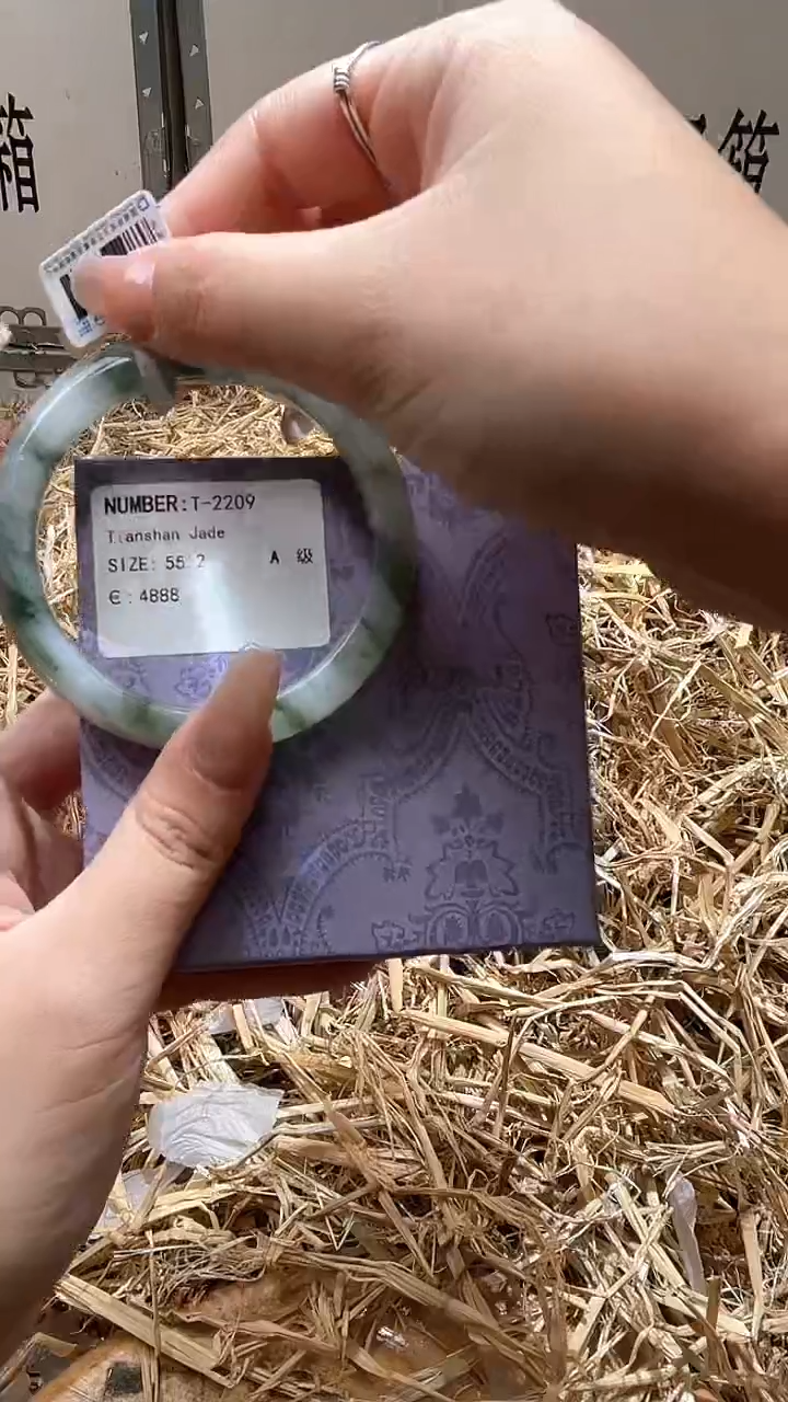 未镶嵌手镯石英质玉T2209Z