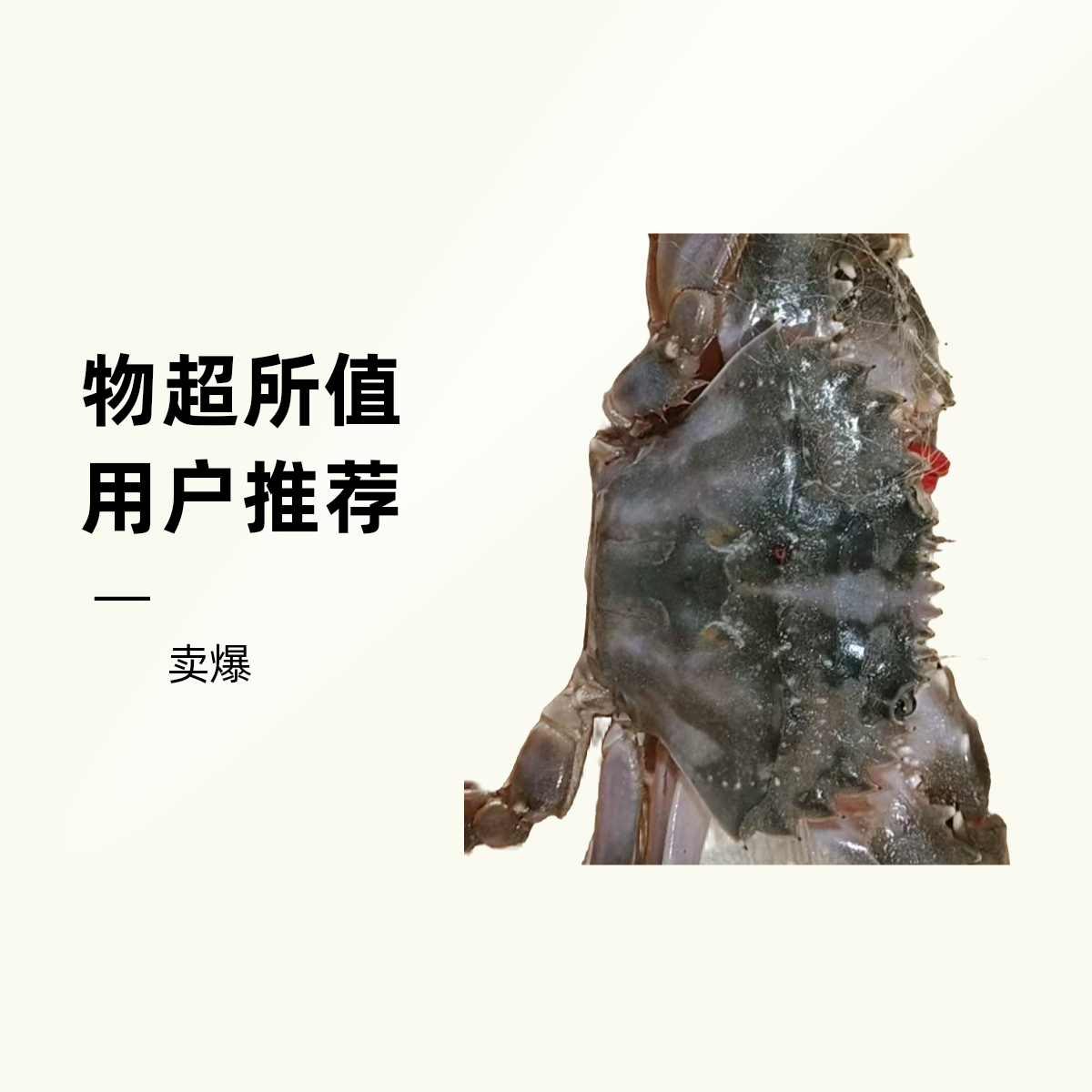【鲜活】梭子蟹{花盖蟹}个别少腿属于正常3斤13-16只2-3两左右【保鲜不保活】梭子蟹同城