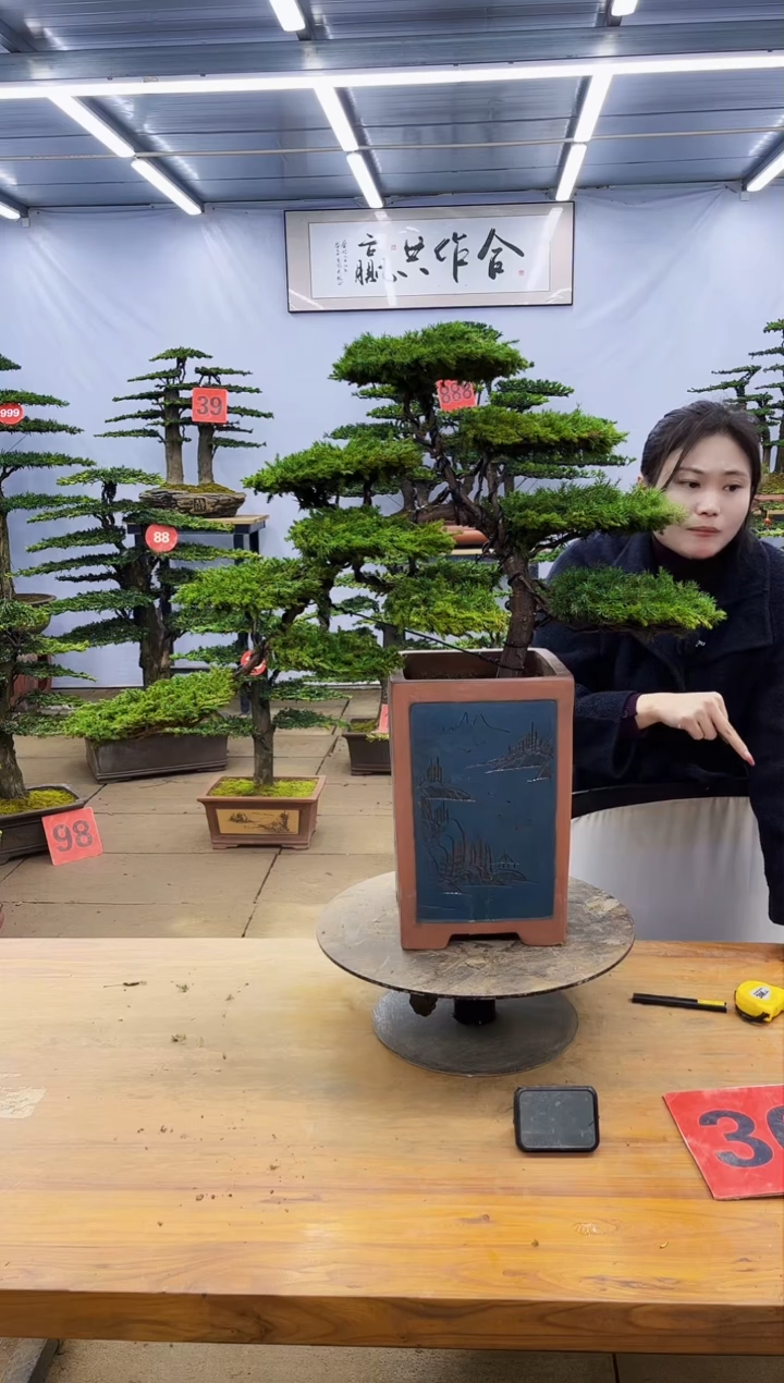 【闪购商品】高端盆景一物一拍，所见即所得