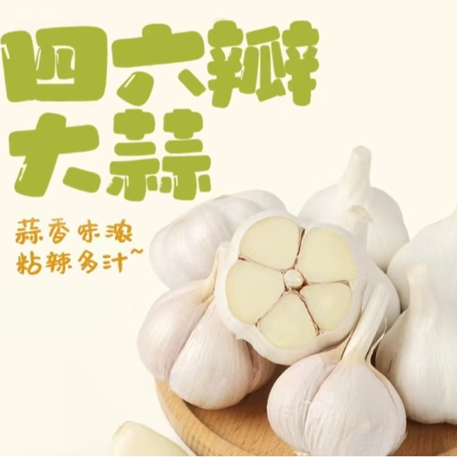 【助力三农】苍山四六瓣干蒜辛辣味十足皮薄肉厚可吃可种