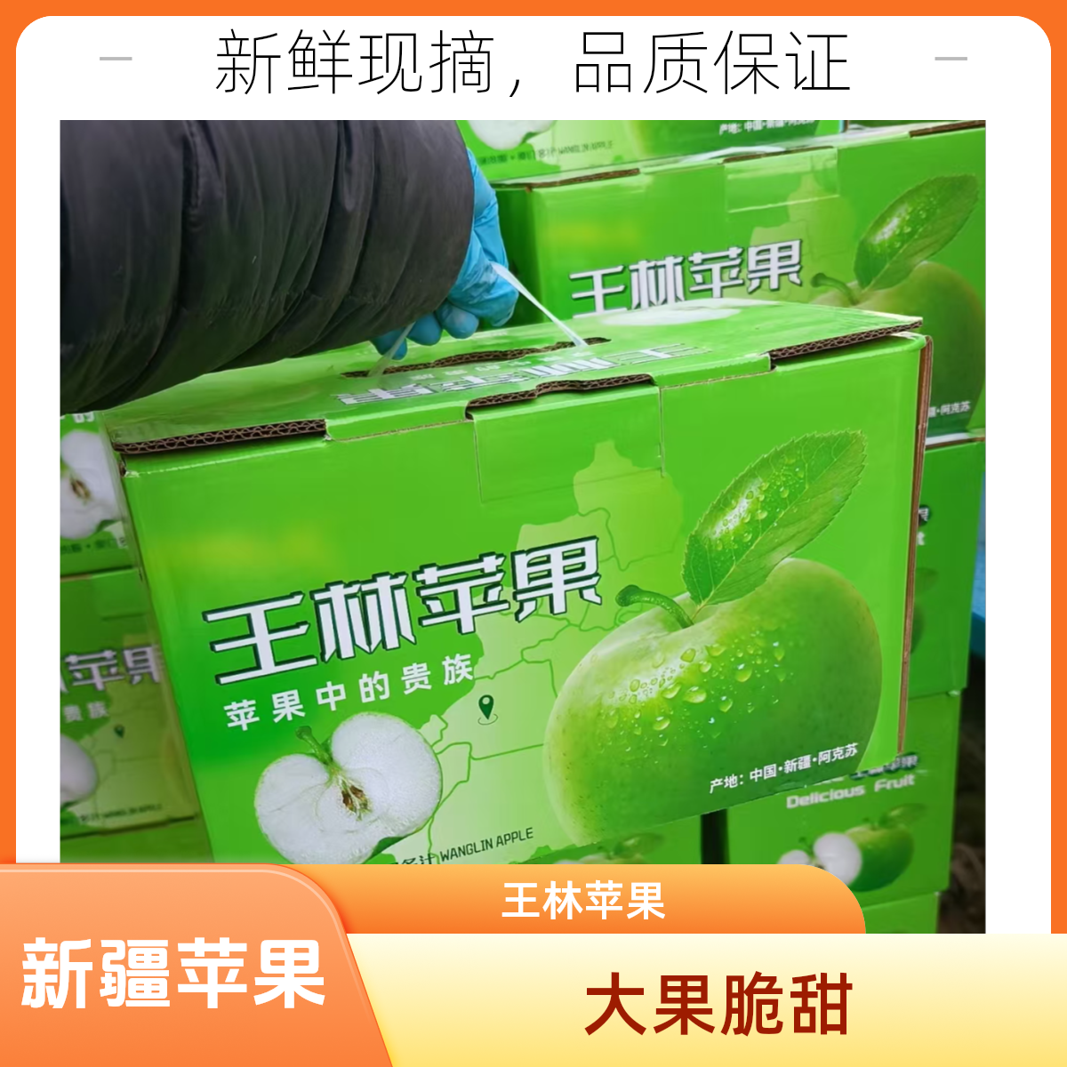 王林苹果2.5kg（新疆产）