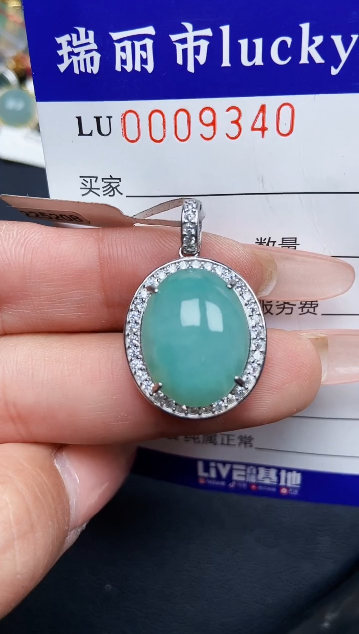 【闪购商品】翡翠颈饰银S925镶嵌9340