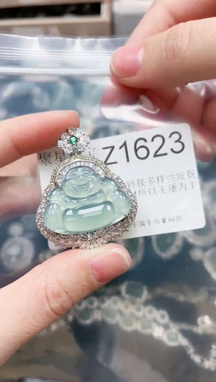 【闪购商品】翡翠颈饰未镶嵌1623赠皮绳